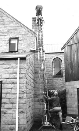 The ClimbSafe Pro outclasses the  conventional ladder by virtue of its safety, versatility  and stable construction